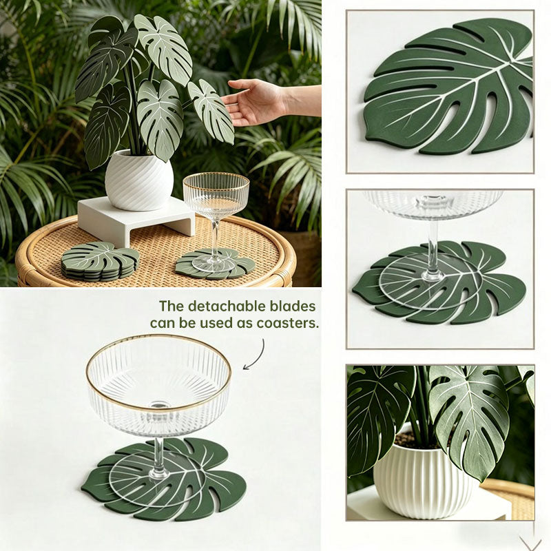 Monstera leaf coaster blades shown in use under a glass and as tabletop mats